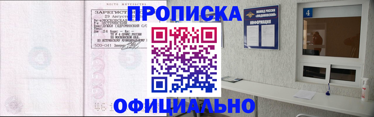 временная регистрация госуслуги в Бородино